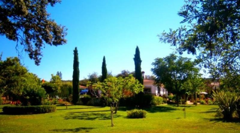 Córdoba - Córdoba - 2950m2