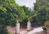 Casa de pueblo en venta en la España, Puerto Real, ref: TR345194 foto