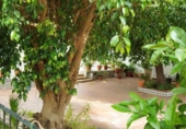 Casa de pueblo en venta en la España, Puerto Real, ref: TR345194 foto