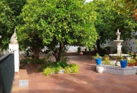 Foto 8