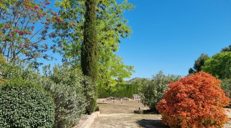 Alicante - Pinoso - 2256m2