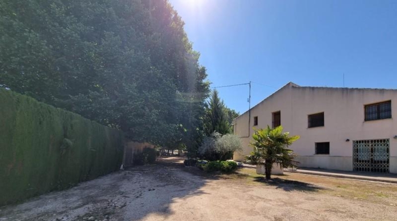 Alicante - Pinoso - 2256m2