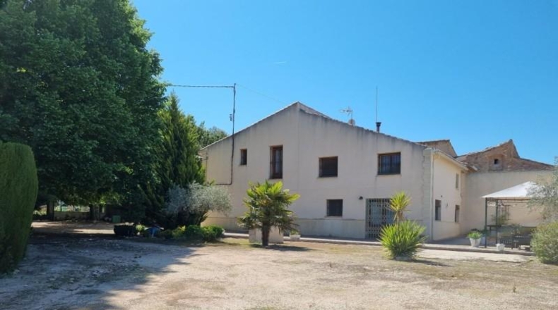 Alicante - Pinoso - 2256m2