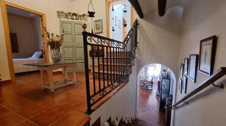 Alicante - Pinoso - 2256m2