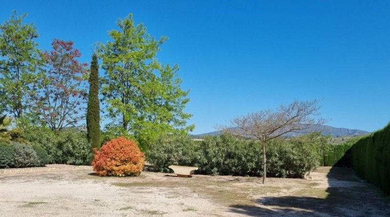 Alicante - Pinoso - 2256m2