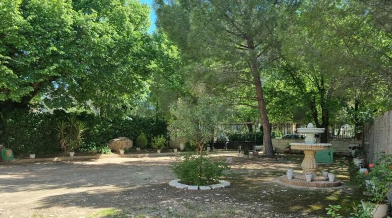 Alicante - Pinoso - 2256m2