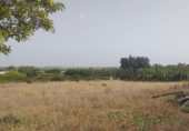 Terreny no urbanitzable en venda a la España, Jerez de la Frontera, ref.: TR128771 foto