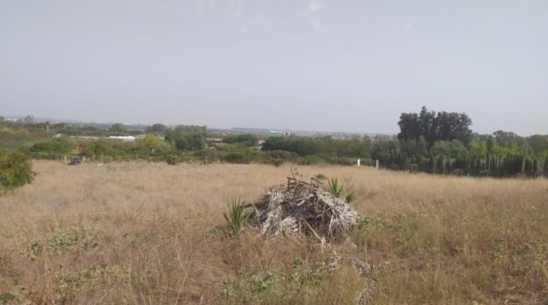 Cádiz - Jerez de la Frontera - 11400m2
