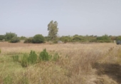 Terreny no urbanitzable en venda a la España, Jerez de la Frontera, ref.: TR128771 foto