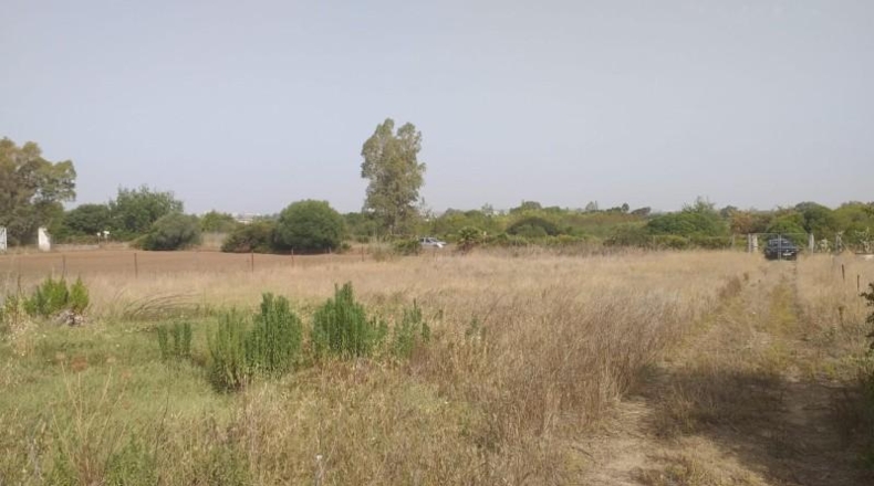 Cádiz - Jerez de la Frontera - 11400m2