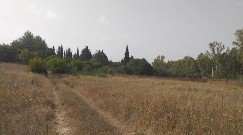 Cádiz - Jerez de la Frontera - 11400m2