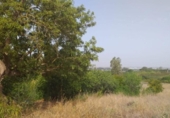 Terreny no urbanitzable en venda a la España, Jerez de la Frontera, ref.: TR128771 foto