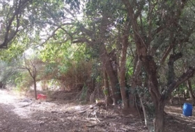 Foto 10