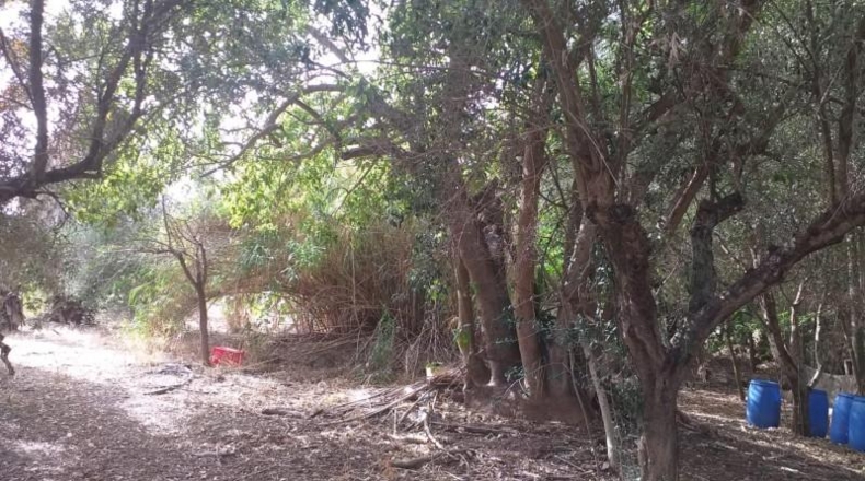 Cádiz - Jerez de la Frontera - 11400m2