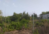 Terreny no urbanitzable en venda a la España, Jerez de la Frontera, ref.: TR128771 foto
