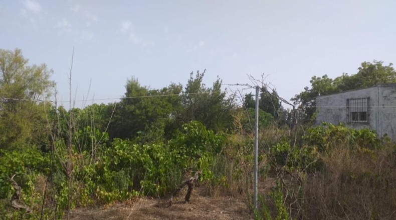 Cádiz - Jerez de la Frontera - 11400m2