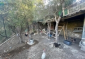 Detached villa with land for sale on España, Benaocaz, ref: TR158090 photo