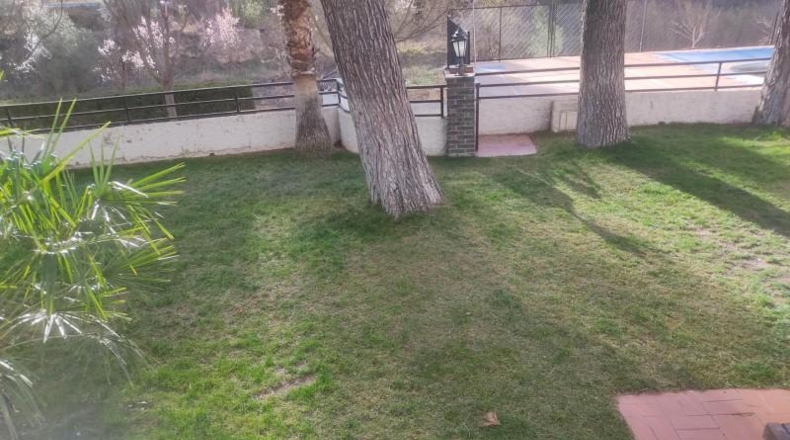 Albacete - Almansa - 500m2