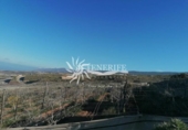 Terreny no urbanitzable en venda a la España, Guía de Isora, ref.: TR129246 foto