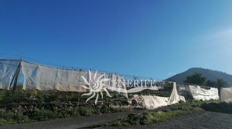 Santa Cruz de Tenerife - Guía de Isora - 26000m2