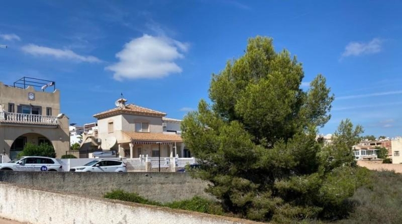 Alicante - San Miguel de Salinas - 1100m2