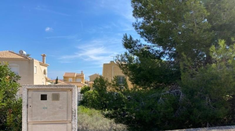 Alicante - San Miguel de Salinas - 1100m2
