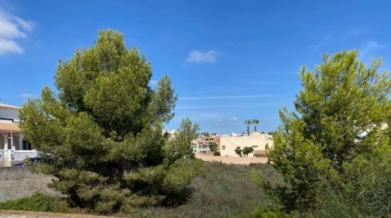 Alicante - San Miguel de Salinas - 1100m2