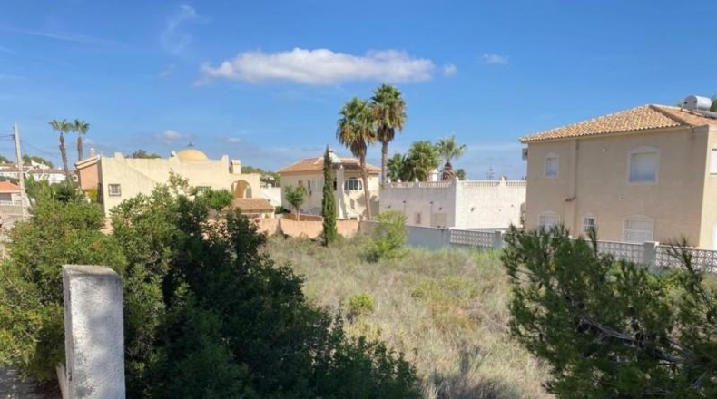 Alicante - San Miguel de Salinas - 1100m2