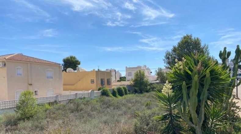Alicante - San Miguel de Salinas - 1100m2