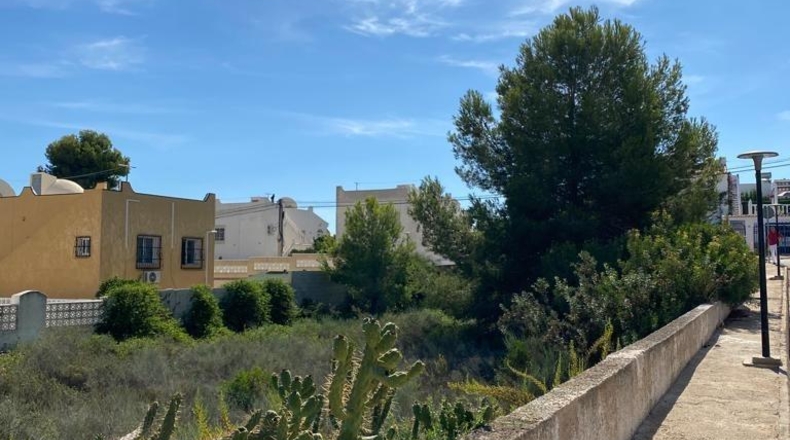Alicante - San Miguel de Salinas - 1100m2