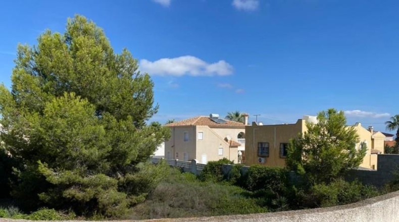 Alicante - San Miguel de Salinas - 1100m2