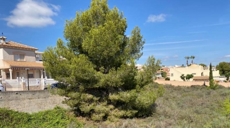 Alicante - San Miguel de Salinas - 1100m2