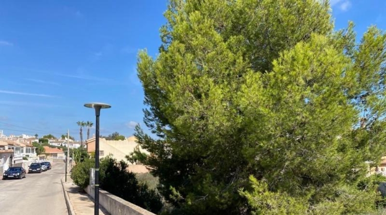 Alicante - San Miguel de Salinas - 1100m2