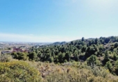Sòl urbà en venda a la España, Castelló de la Plana, ref.: TR129882 foto