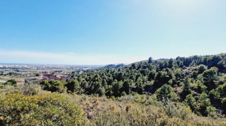 Castellon - Castellón de la Plana - 2290m2