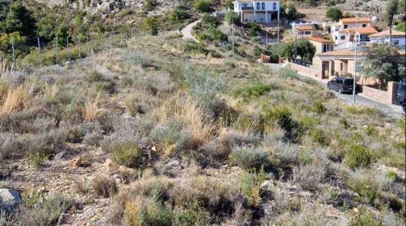Castellon - Castellón de la Plana - 2290m2