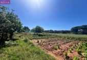 Casa amb terreny en venda a la España, Vejer de la Frontera, ref.: TR297462 foto