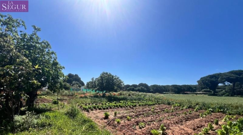 Cádiz - Vejer de la Frontera - 6400m2