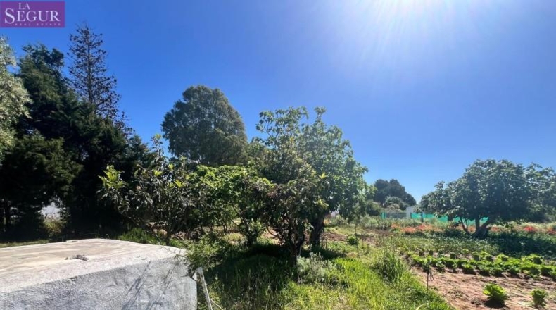 Cádiz - Vejer de la Frontera - 6400m2