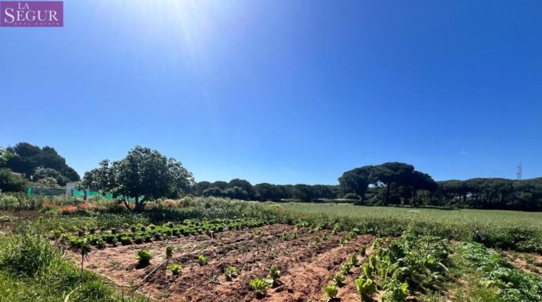 Cádiz - Vejer de la Frontera - 6400m2