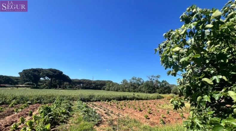 Cádiz - Vejer de la Frontera - 6400m2