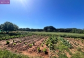 Casa amb terreny en venda a la España, Vejer de la Frontera, ref.: TR297462 foto
