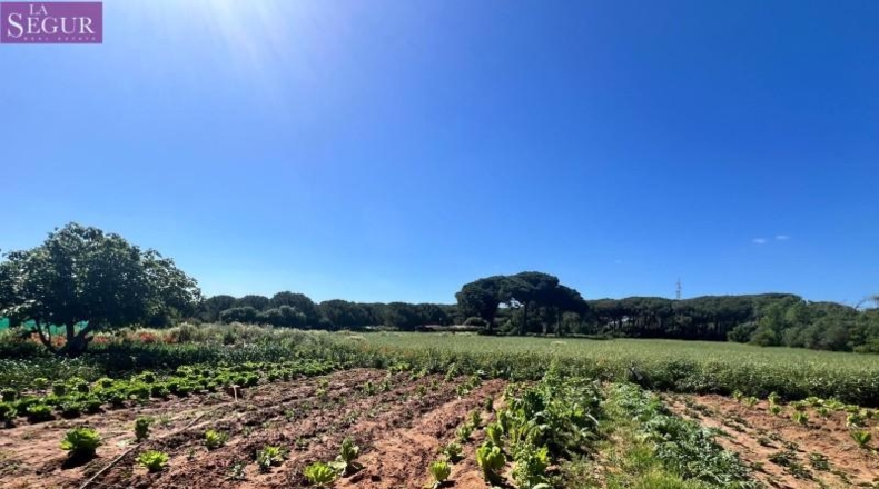 Cádiz - Vejer de la Frontera - 6400m2