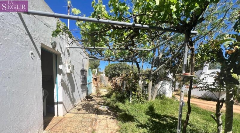 Cádiz - Vejer de la Frontera - 6400m2