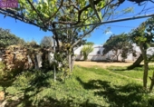 Casa amb terreny en venda a la España, Vejer de la Frontera, ref.: TR297462 foto