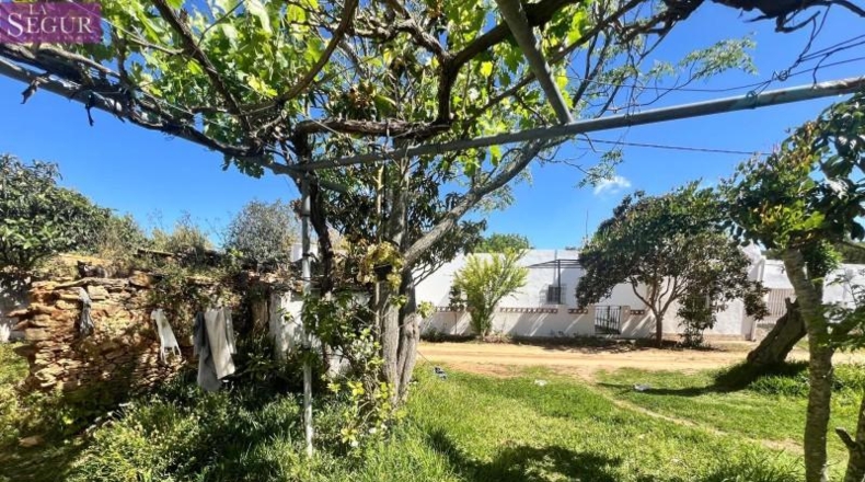Cádiz - Vejer de la Frontera - 6400m2