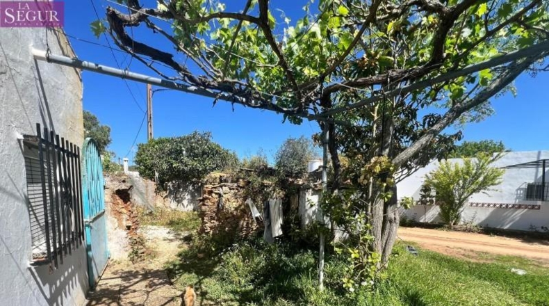 Cádiz - Vejer de la Frontera - 6400m2