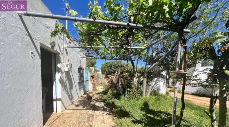 Cádiz - Vejer de la Frontera - 6400m2