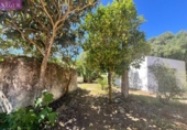 Casa amb terreny en venda a la España, Vejer de la Frontera, ref.: TR297462 foto