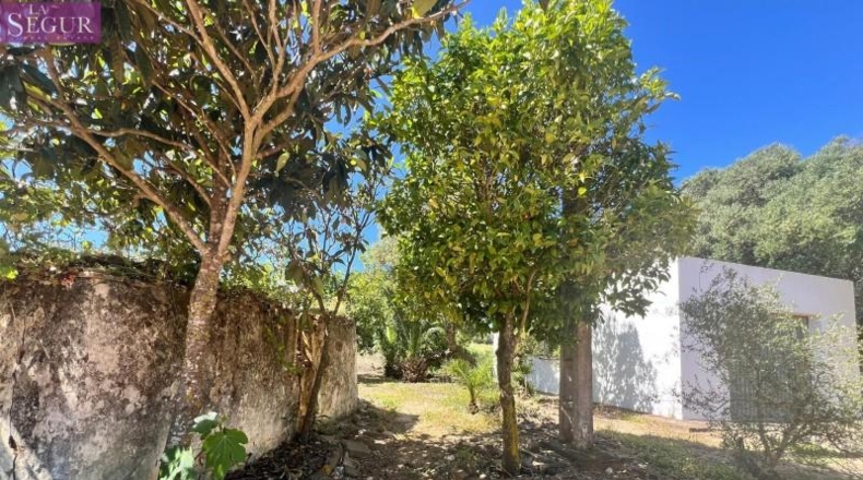 Cádiz - Vejer de la Frontera - 6400m2